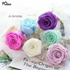 Консервированные Розы 5-6 см класса А, красота и чудовище Forever Rose Eternelle для подарка на День святого Валентина, свадебное украшение ► Фото 1/6