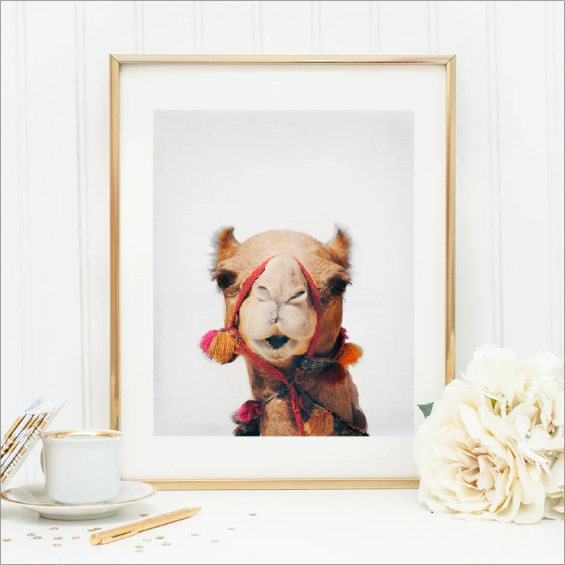 camel canvas poster