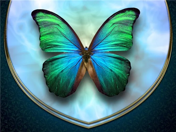 3D-diamond-embroidery-butterfly-square-diamond-sets-full-decorative-diy-diamond-painting-diamond-cross-stitch-crystal