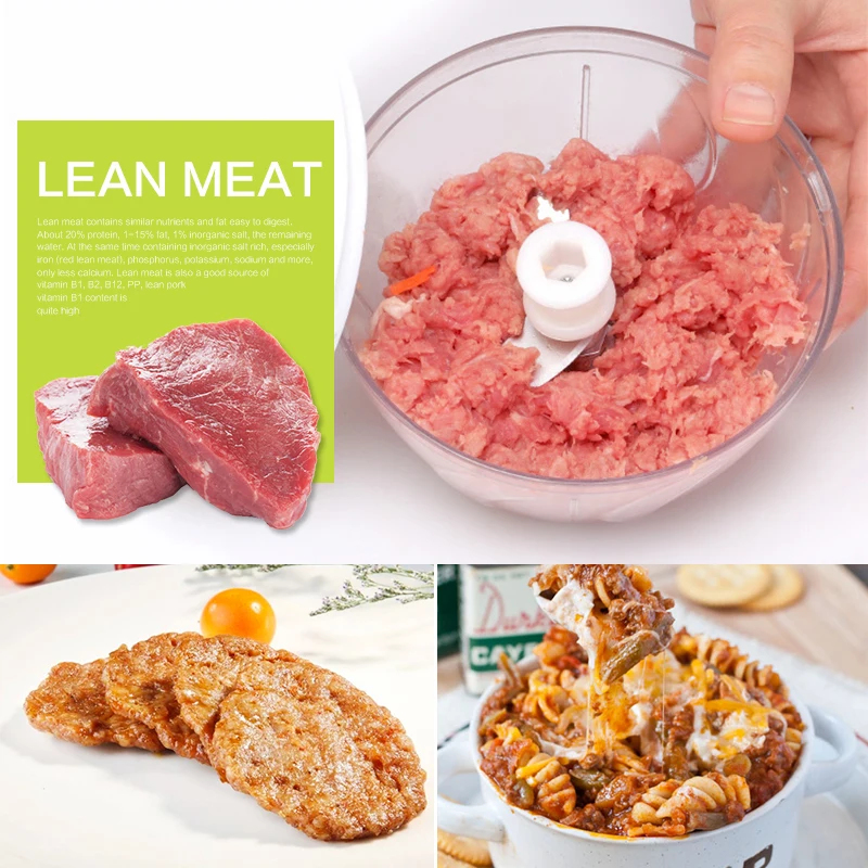 manual meat grinder raw cat food