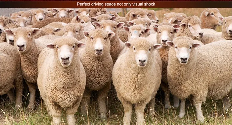 1pcs-Luxury-Australia-Wool-Car-Cushion-Real-One-Piece-Sheepskin-Wool-Automobile-Seat-Pad-11