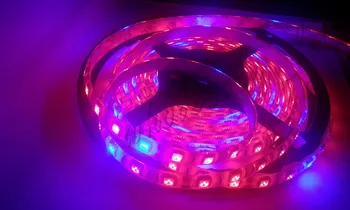 

16.4ft SMD 5050 300 LED Plant Growing LED Strip Flexiable Light Red:Blue=7:1 60LED/m DC12V 5M IP65 Epoxy Waterproof