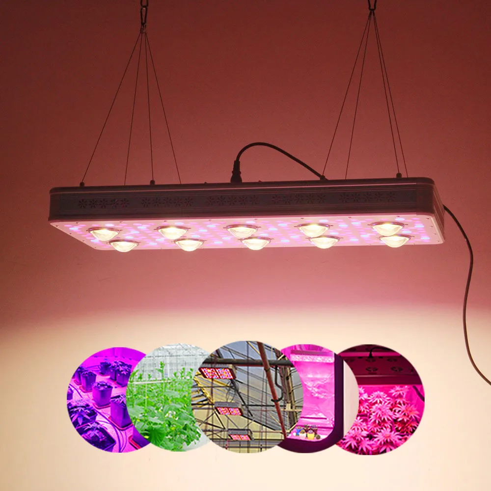 IDEA LIGHT LED grow light Elite 600W 900W Full Spectrum for Indoor Greenhouse grow tent plants grow led light Veg Bloom mode IDEA LIGHT LED grow light Elite 600W 900W Full Spectrum for Indoor Greenhouse grow tent plants grow led light Veg Bloom mode