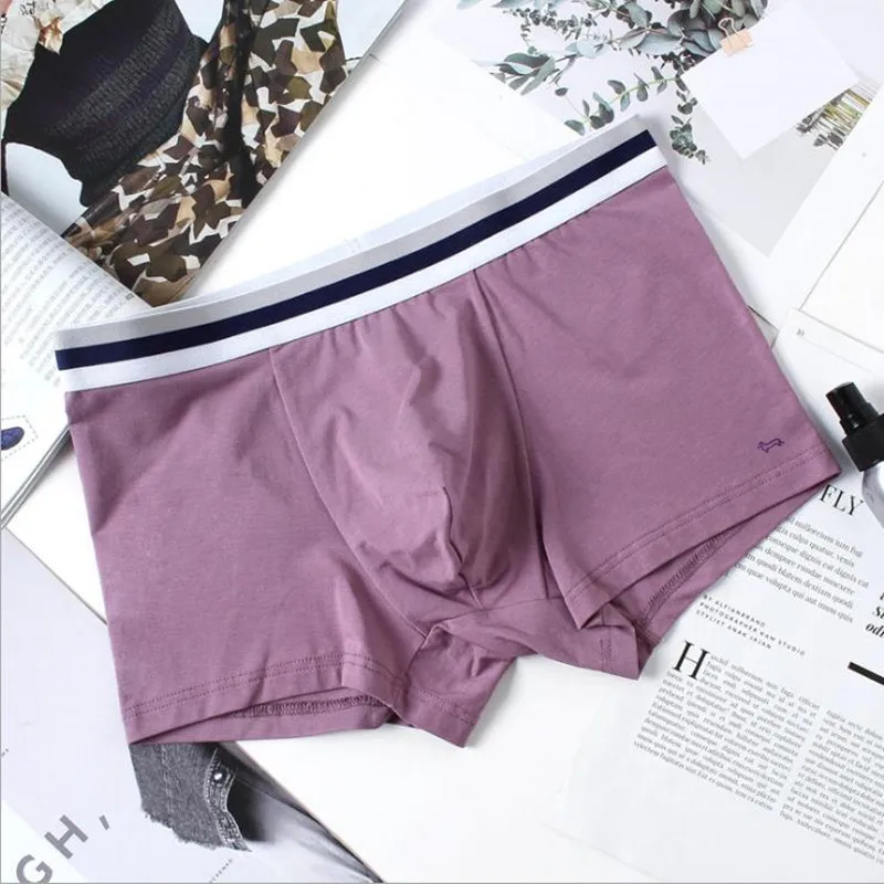 

2 Pcs/lot 2018 Men Underwear Boxers Shorts Cotton Men Boxers Solid breathable Soft Underpants Underwear Embroidery Boxers Men