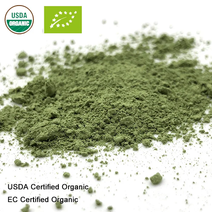 Kopen USDA en EC Gecertificeerde biologische moringa blad poeder