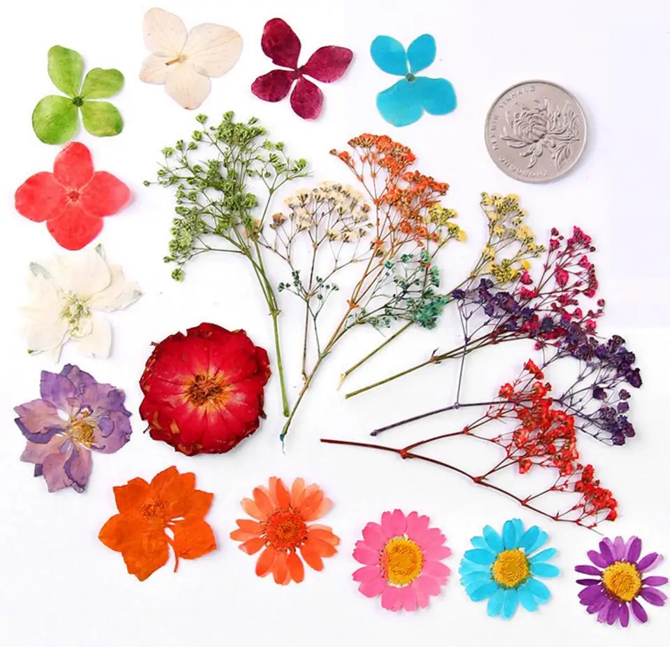 100pcs Mixed Pressed Press Dried Flower Filler For Epoxy Resin Pendant