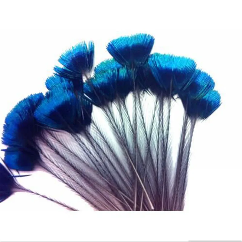 

10 beautiful natural color blue iris peacock crown / Corona loose feather DIY decorative accessories
