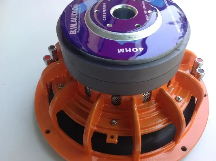 12-inch Dual Voice Coil Subwoofer 