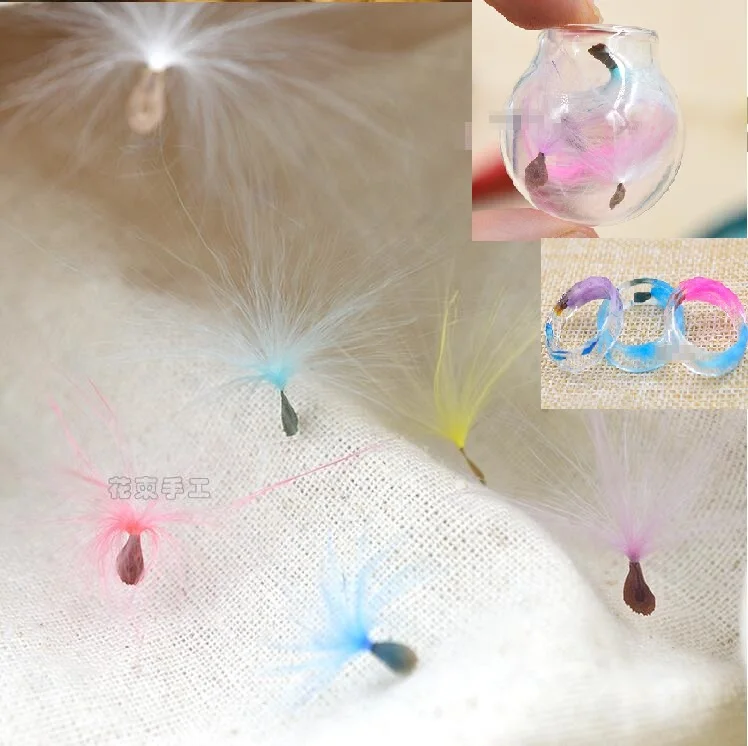 

Flower Fluff Dried Flowers Natural DIY Materials Special Flowers filling for DIY resin Pendant jewelry