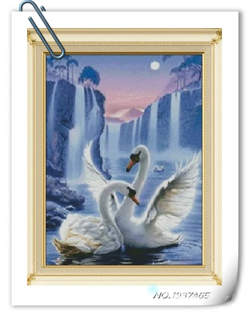 Cisnes En Moonlight-Animal tela pared arte Foto Impresión Cisnes En Moonlight-Animal tela pared arte Foto Impresión