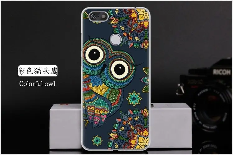  Colorful owl