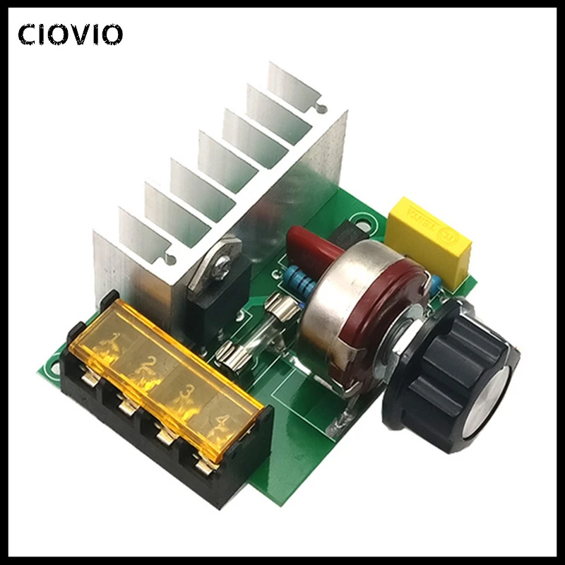 4000W AC 220V SCR Voltage Adjustable Regulator Motor Speed Control Dimmer DS