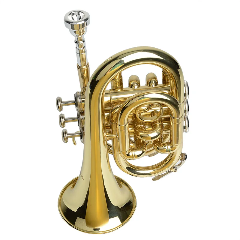 

Bach Baja the palm Pocket Trumpet instrument B flat cornet new promotions