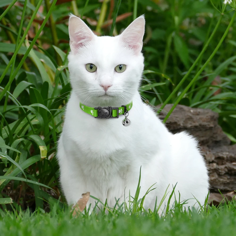 4pcs/lot Quick Release Cat Collar Nylon Safety Breakaway Cat Kitten Collars with Bell For Small Pets Cats Dogs Mixed 4 Colors 4pcs/lot Quick Release Cat Collar Nylon Safety Breakaway Cat Kitten Collars with Bell For Small Pets Cats Dogs Mixed 4 Colors