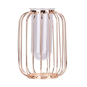 

Maceteros Para Creative Hydroponic Plant Transparent Vases Frame Coffee Shop Room Decor Gold Vase Ornament 19June20 P30