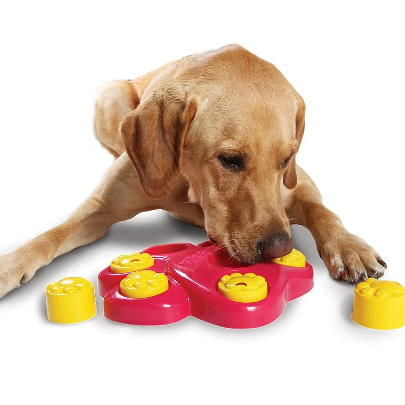 eco dog toys