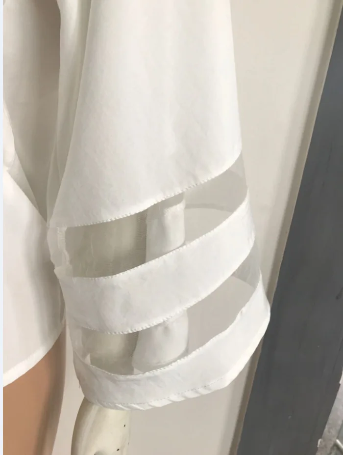 8800468725_1547416216