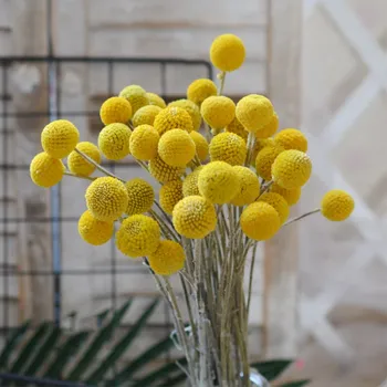 

10pcs dried flowers golden ball forDIY arrangement home Christmas decoration Free Shipping