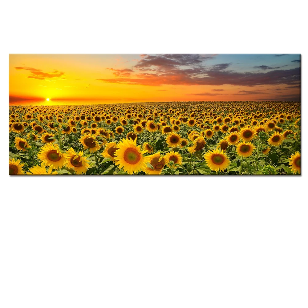 Sunflower Canvas Wall Art Prints Brilliant Sunflower Floral Paintings