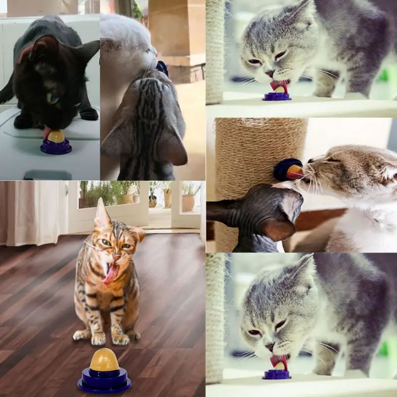 Кошка сплошной питание гель энергетический шар прилипать к стене игрушка котенок сахара мяч с питает внутри кошка закуски лизать для кошек