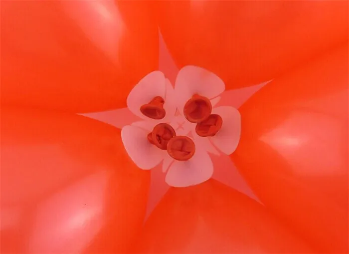 036-05