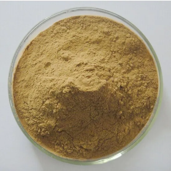 ФОТО Hot sale 1KG (35.27oz) Ginkgo Biloba extract powder 24/6 for nutritional supplement Free shipping