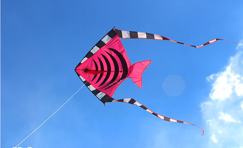 kite in spanish