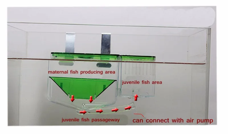 Аквариумная Рыбная инкубатория Автоматическая Циркулирующая инкубационная коробка pondoir а циркуляционная Автоматическая банка кислорода воздушным насосом