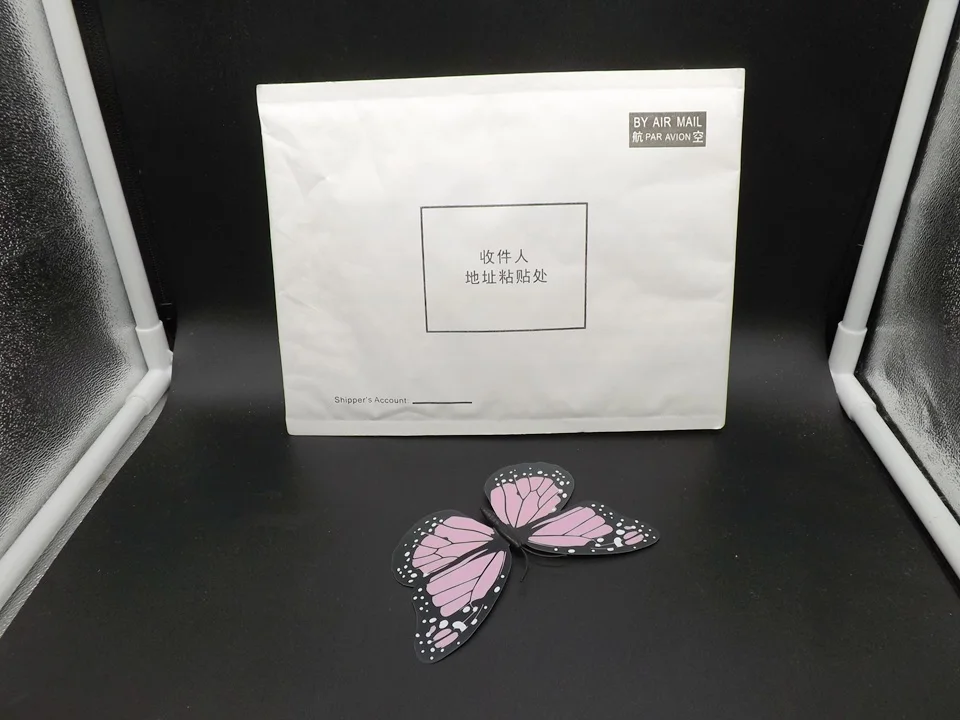 I242-Butterfly (13)