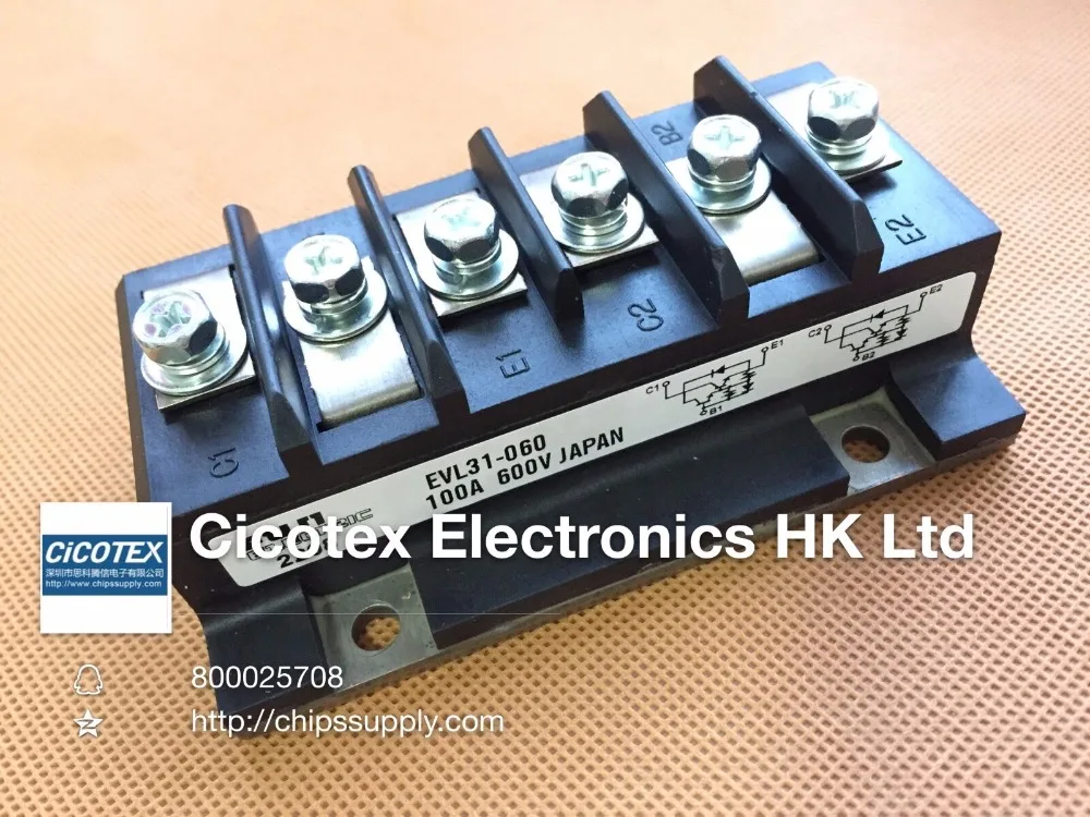 

EVL31-060 Module IGBT