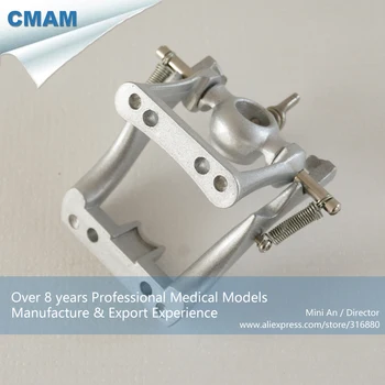 

DH/13207, DP Articulator, Metal Articulator, Educational Teaching Anatomical Models