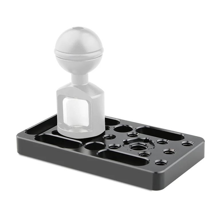Camera-Cage_03