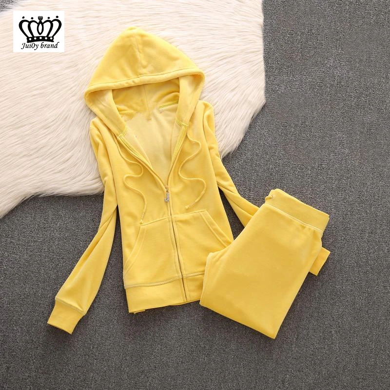 

2019 Women'S Brand Velvet Fabric Tracksuit pant suits Velour Suit woman tracksuit 2 pieces Hoodies And Pants blue