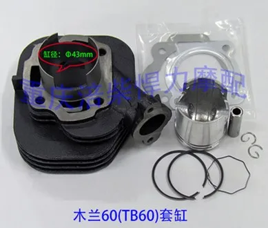 

43mm Big Bore Cylinder Kit for 50cc 2-stroke TB50 1DE41QMB engines QM50QT-B2 scooter
