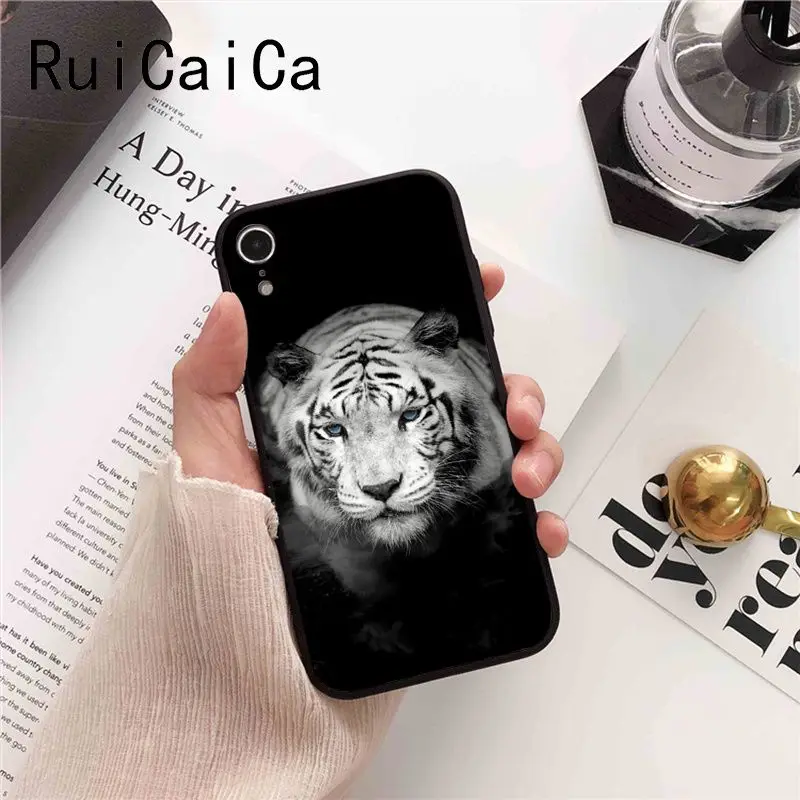tiger fashion