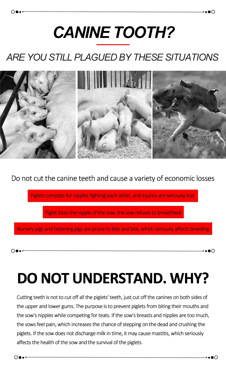 Teeth-cutting-pliers_02
