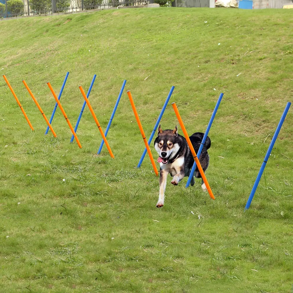 

Pet Outdoor Dog Agility Sports Training Poles Equipment Dogs Activity Agility Weave Slalom 12 Pole Set with Carrying Case