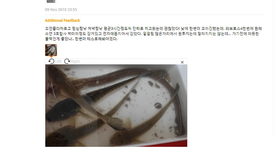 D10009-line-review_04
