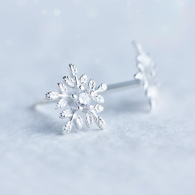 8732417904_334617663