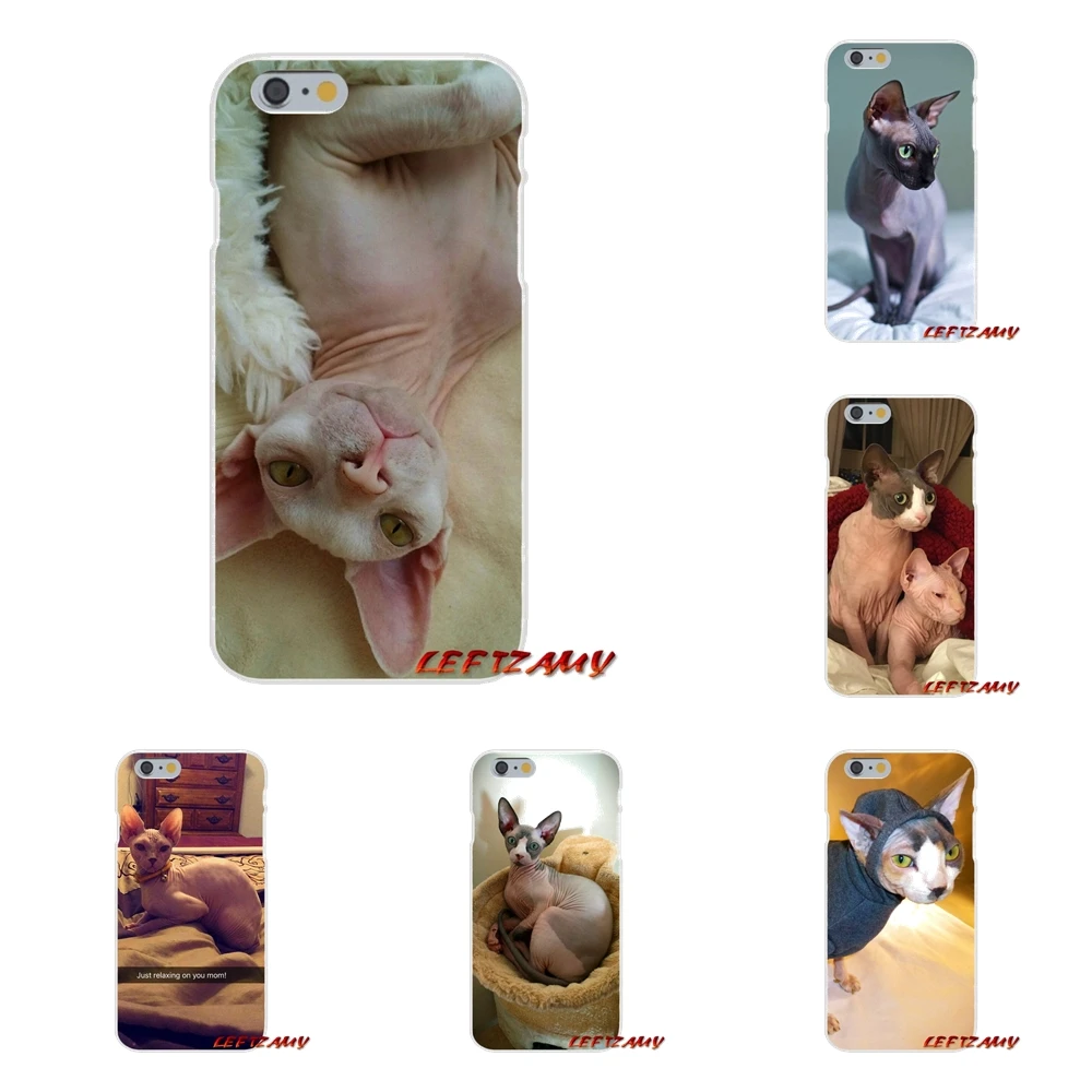 

For Huawei P8 P9 P10 Lite 2017 Honor 4C 5X 5C 6X Mate 7 8 9 10 Pro Friendliest sphynx cat kitty Soft Phone Case Silicone