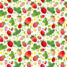 HUAYI Strawberry Theme vinyl Backdrop Birthday Party Decoration for Children Photo Background XT 7096