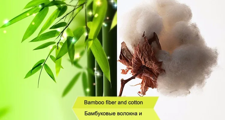 2405539444_1661498054