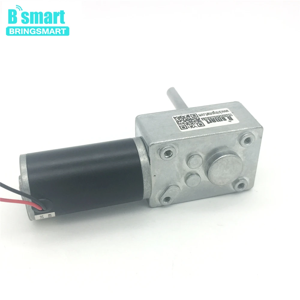 

Bringsmart 5840-31ZY 12V 24V DC Motor Reversed Reduction Motor Self-locking Extension Shaft Motor Worm Gearbox Motor High Torque