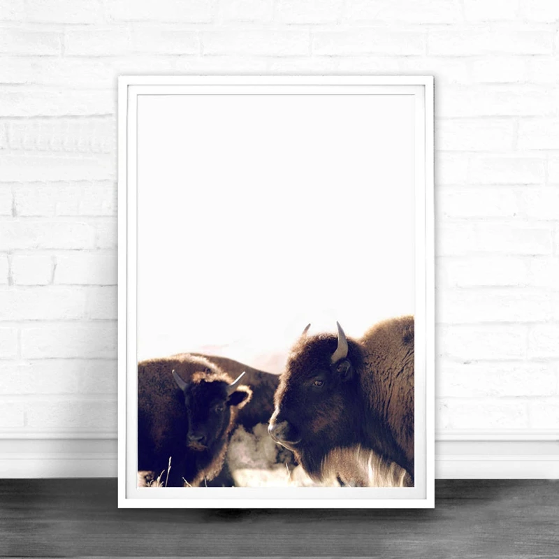 

Buffalo Canvas Art Print and Poster , Animal Bison Canvas Painting Wall Picture Highland Cow Photography Prints Home Decor