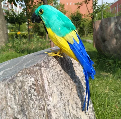 

colourful feathers parrot about 22cm artificial bird handicraft,prop,home garden decoration gift p2728