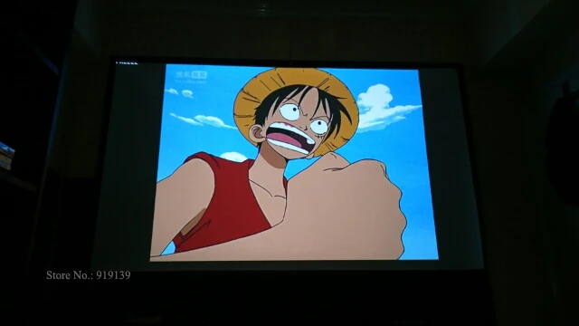 screen farbic pic 13