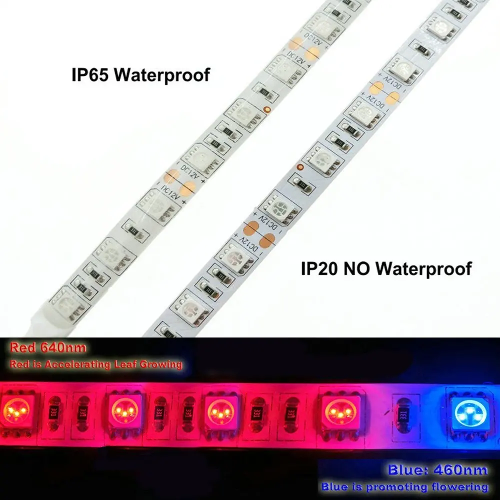 61opwZBKoOL._SL1000_