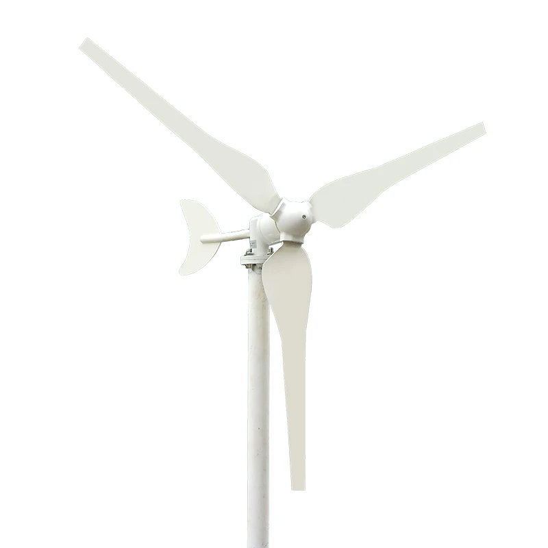 

50W/100W DC 12V/24V Wind Power Generation of Small Wind Turbine Household Mini Generator