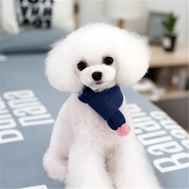 pets dogs accessories (2)