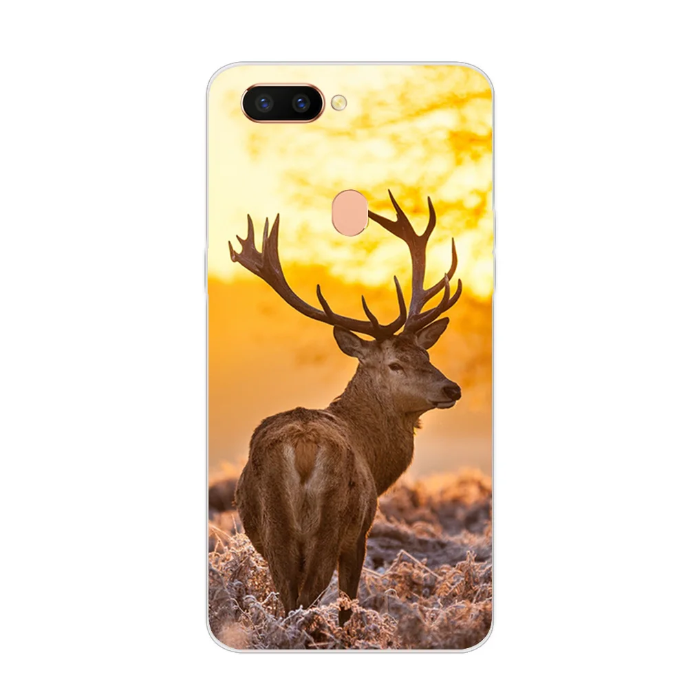223462-OPPO R11 3-